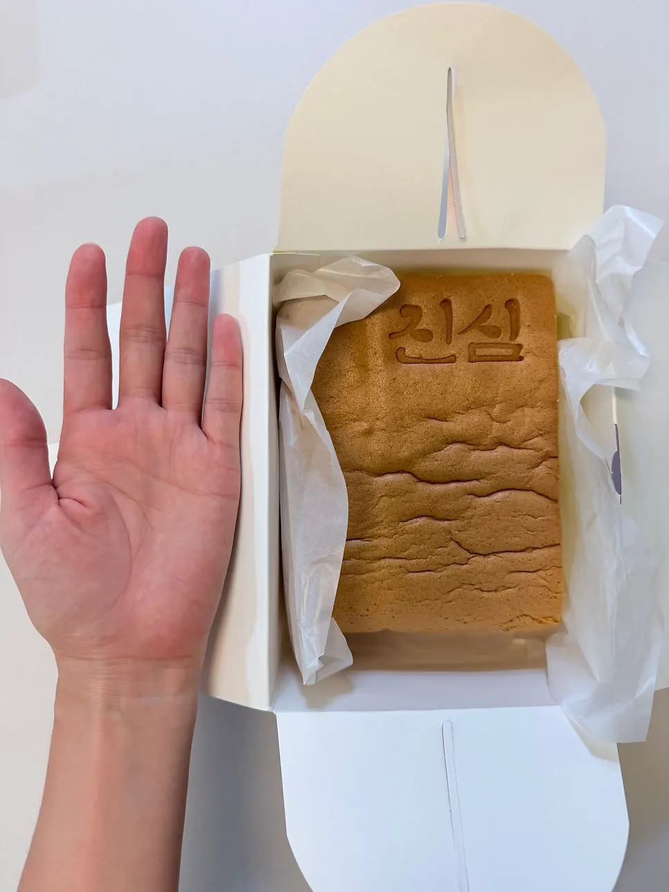 Giant castella cake size compared to a hand