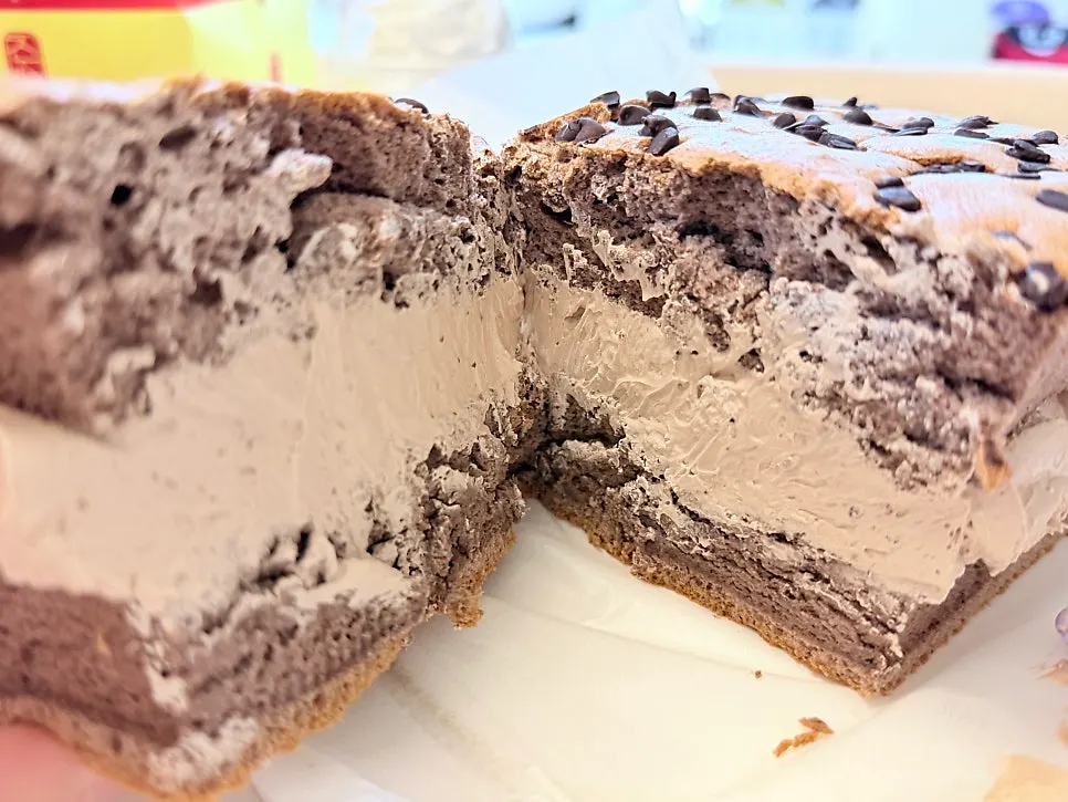 A perfectly proportioned slice of chocolate cream castella