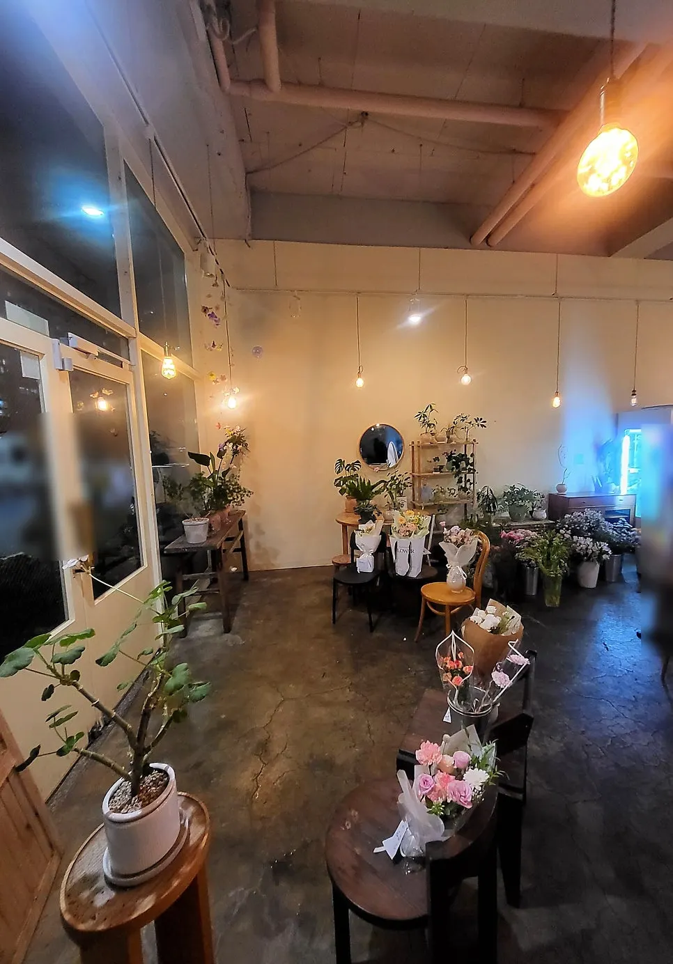 Display area with flowers and plants in the store