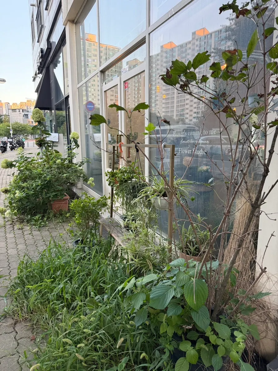 Store view with green plants and potted plants on display