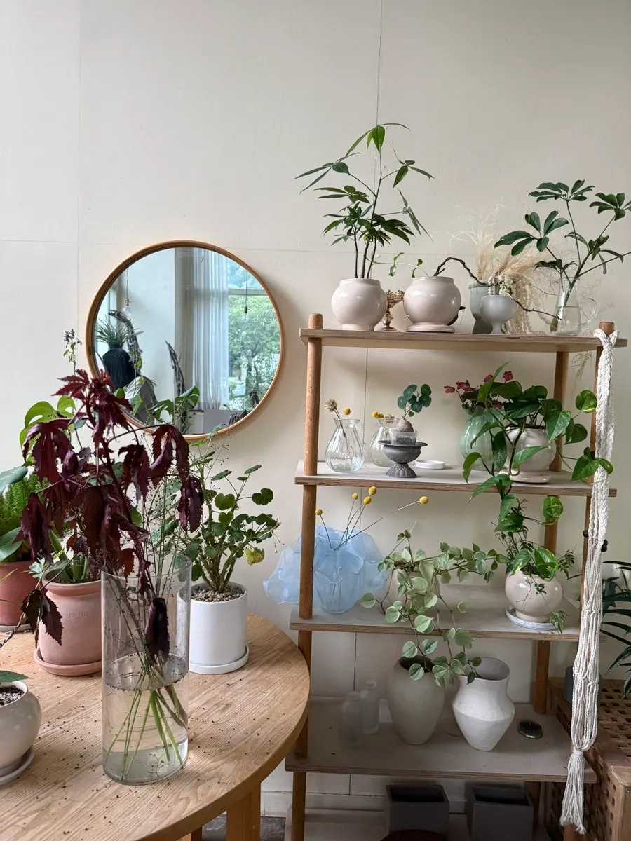 Shelf with dried flowers and glass bottles