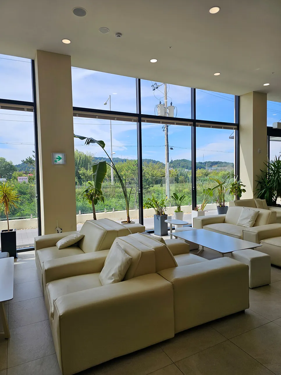 Café relaxation space with sofas