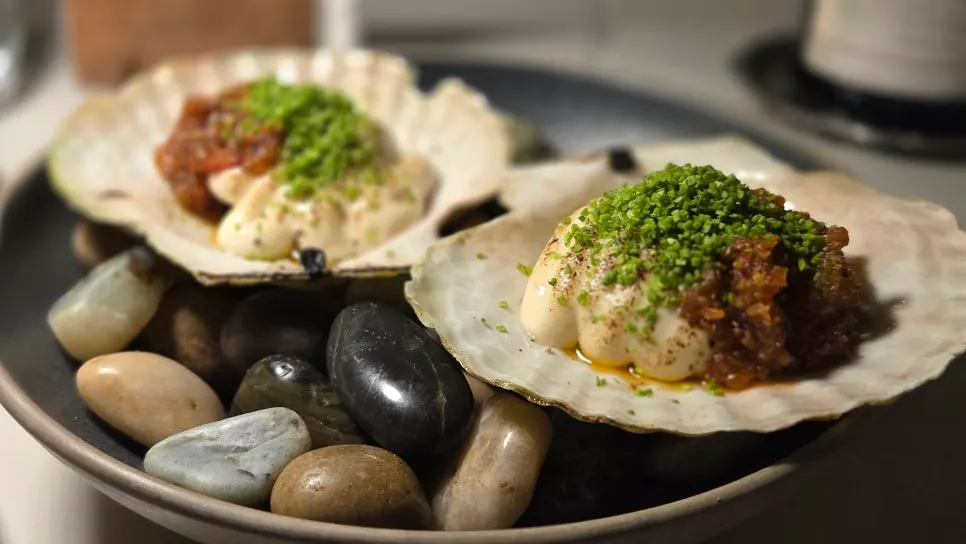 Charcoal-grilled scallops with potato confit purée