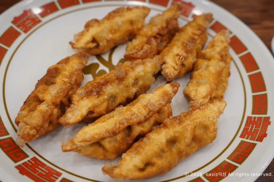 A plate of freshly made fried dumplings