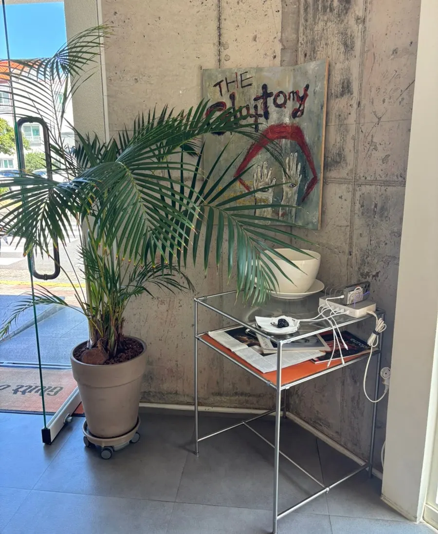 Green plants in a corner of the café