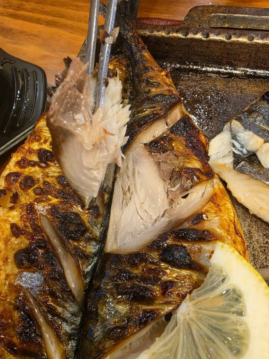 간장에 찍은 삼치구이 한 점