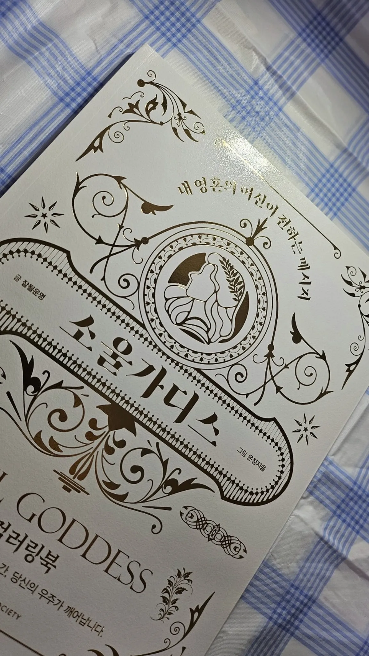 Introduction to the Soul Goddess Coloring Book