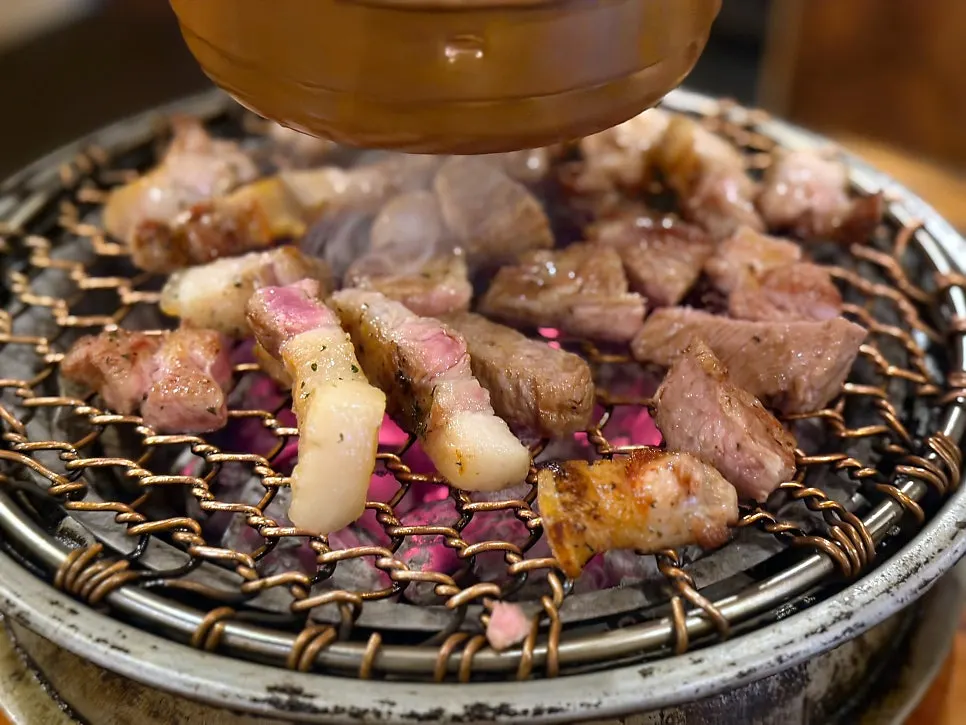 Meat cooking on the charcoal grill