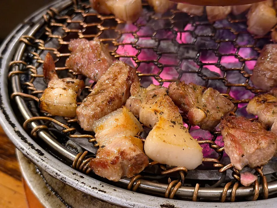 Grilled lean-heavy mokssal
