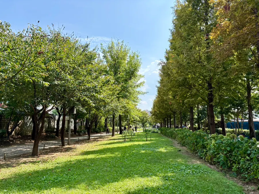 京義線スプキル前のコギックンキムチュンベの外観