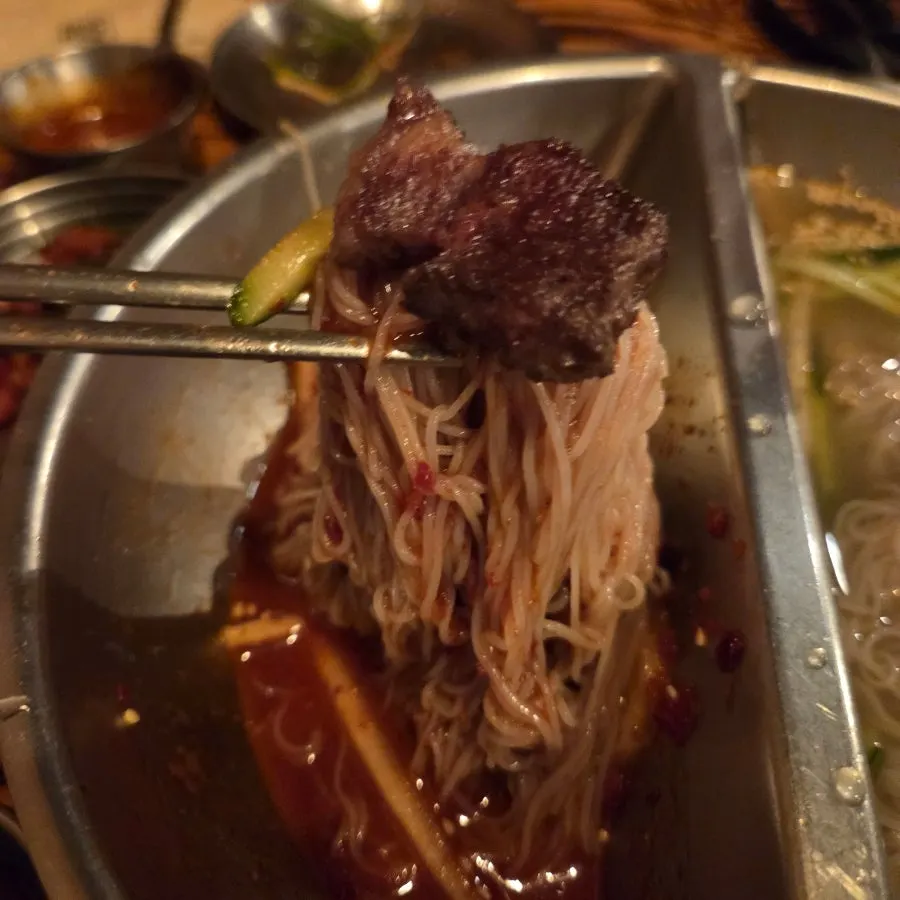 고기를 올린 반반냉면