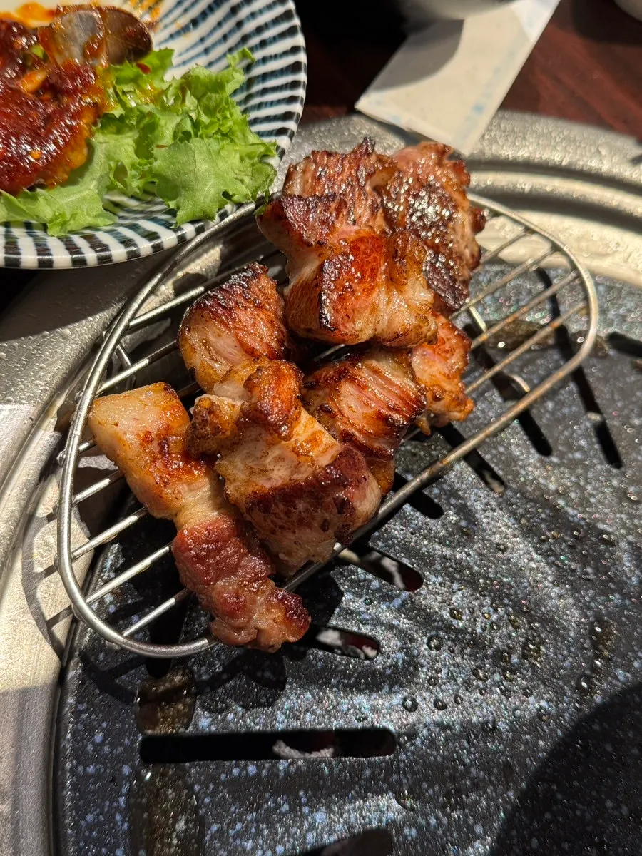 Gabrisal on the grill