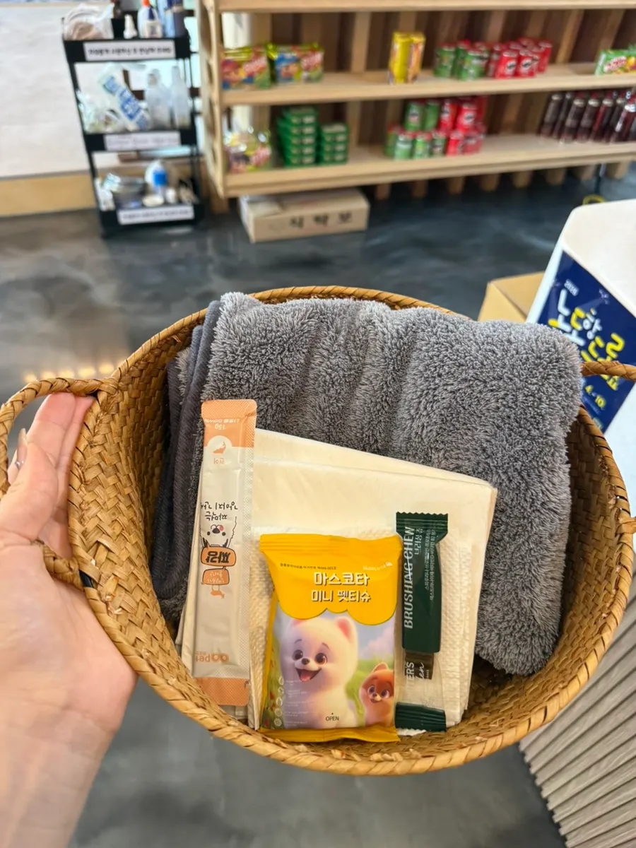 Dog amenities received after check-in