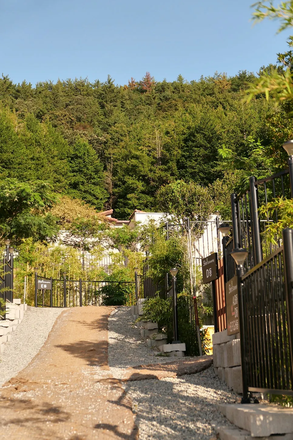 Green scenery outside the glamping site