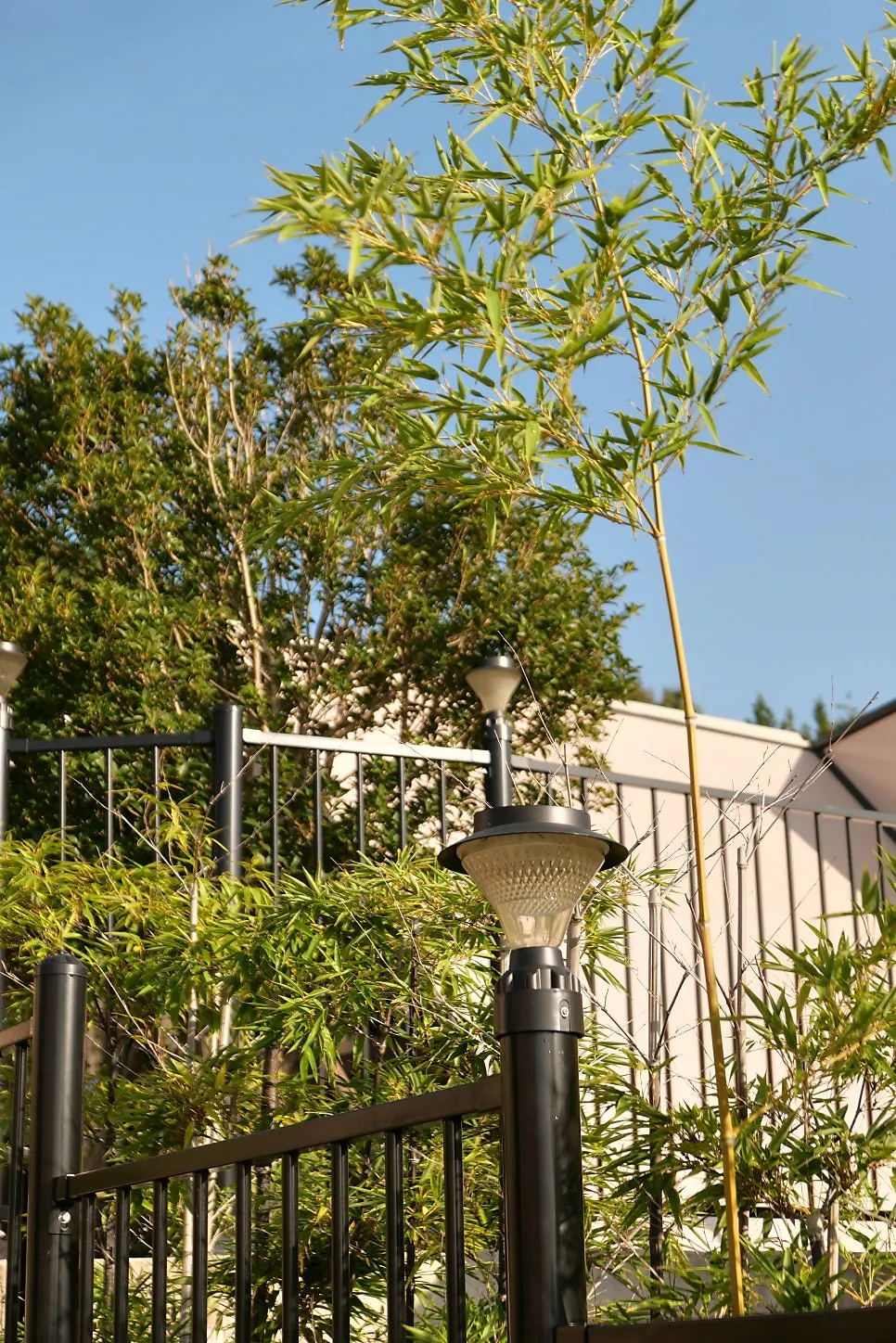 Path to the administration building and play facilities