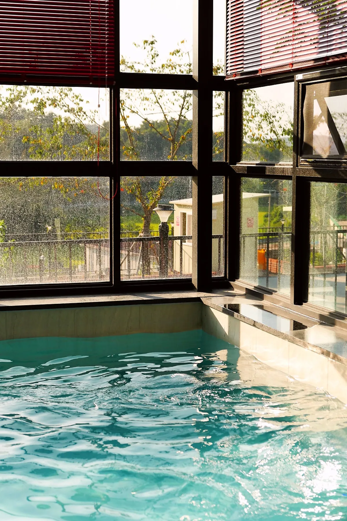 Pool for swimming with an outdoor view