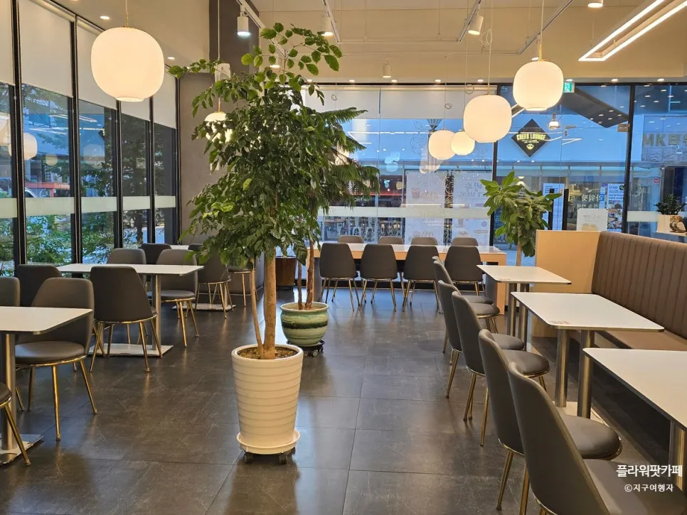 Spacious seating at Flowerpot Cafe with green plants