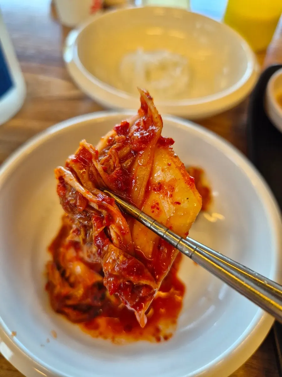 칼국수와 함께 나온 겉절이 김치