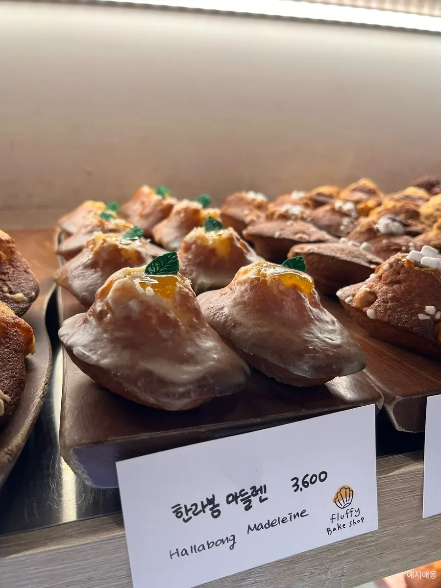 마들렌 16종이 채워진 진열대