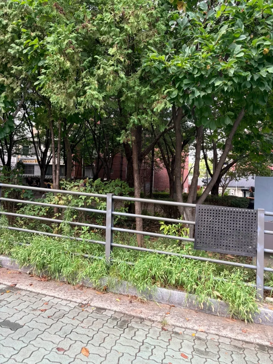 Entrance to Gongjung Dodeok