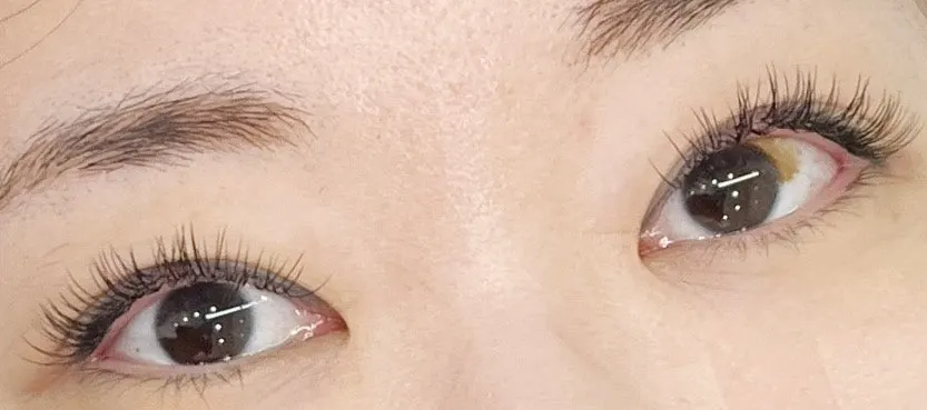 이요샵 속눈썹 펌과 연장 가격표