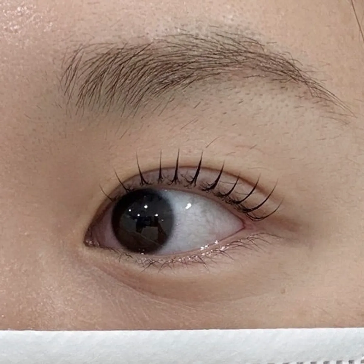 Close-up of defined eyes after the nutrition + black tinting lash lift