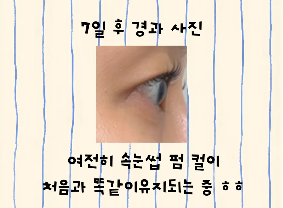 속눈썹펌 7일 후 유지된 컬