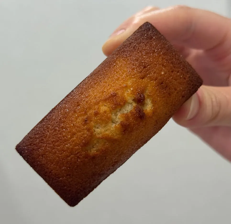 Cross-section of the fig financier cut in half