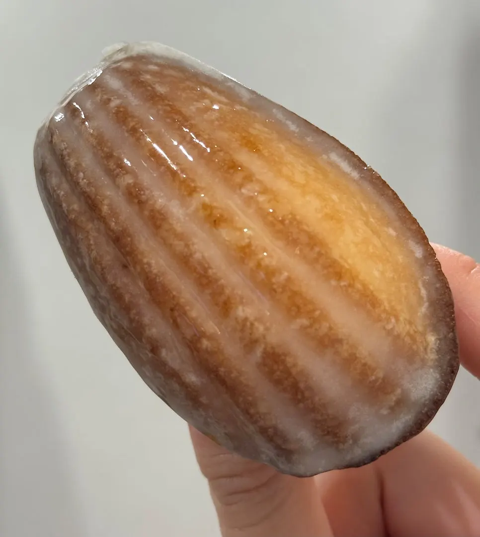 Madeleines and canelé on a plate