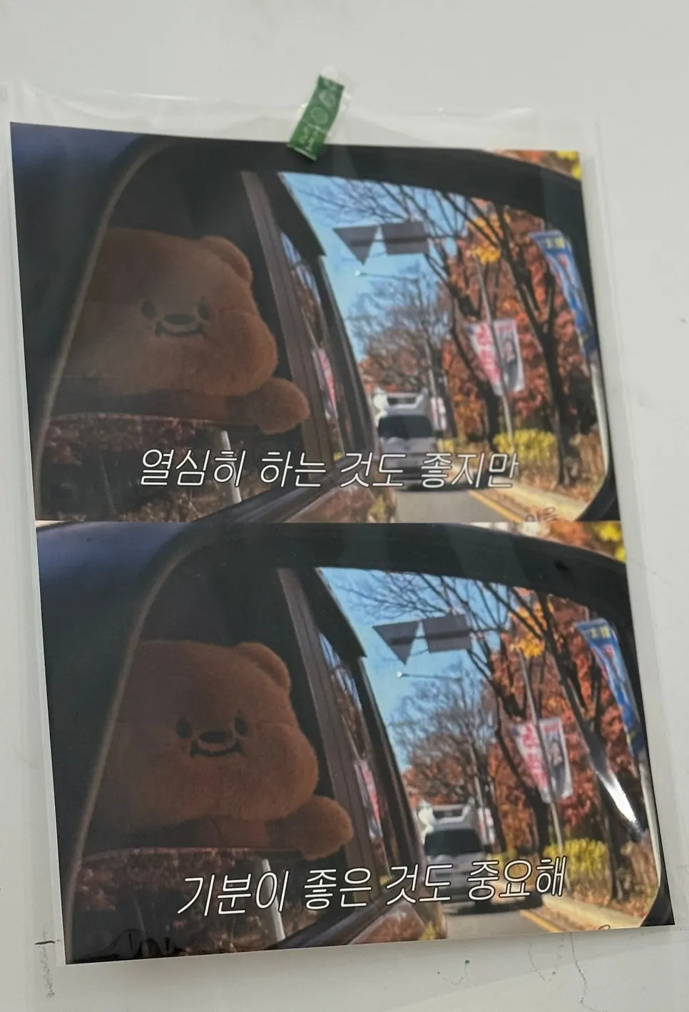 Display case with baked goods lined up by type