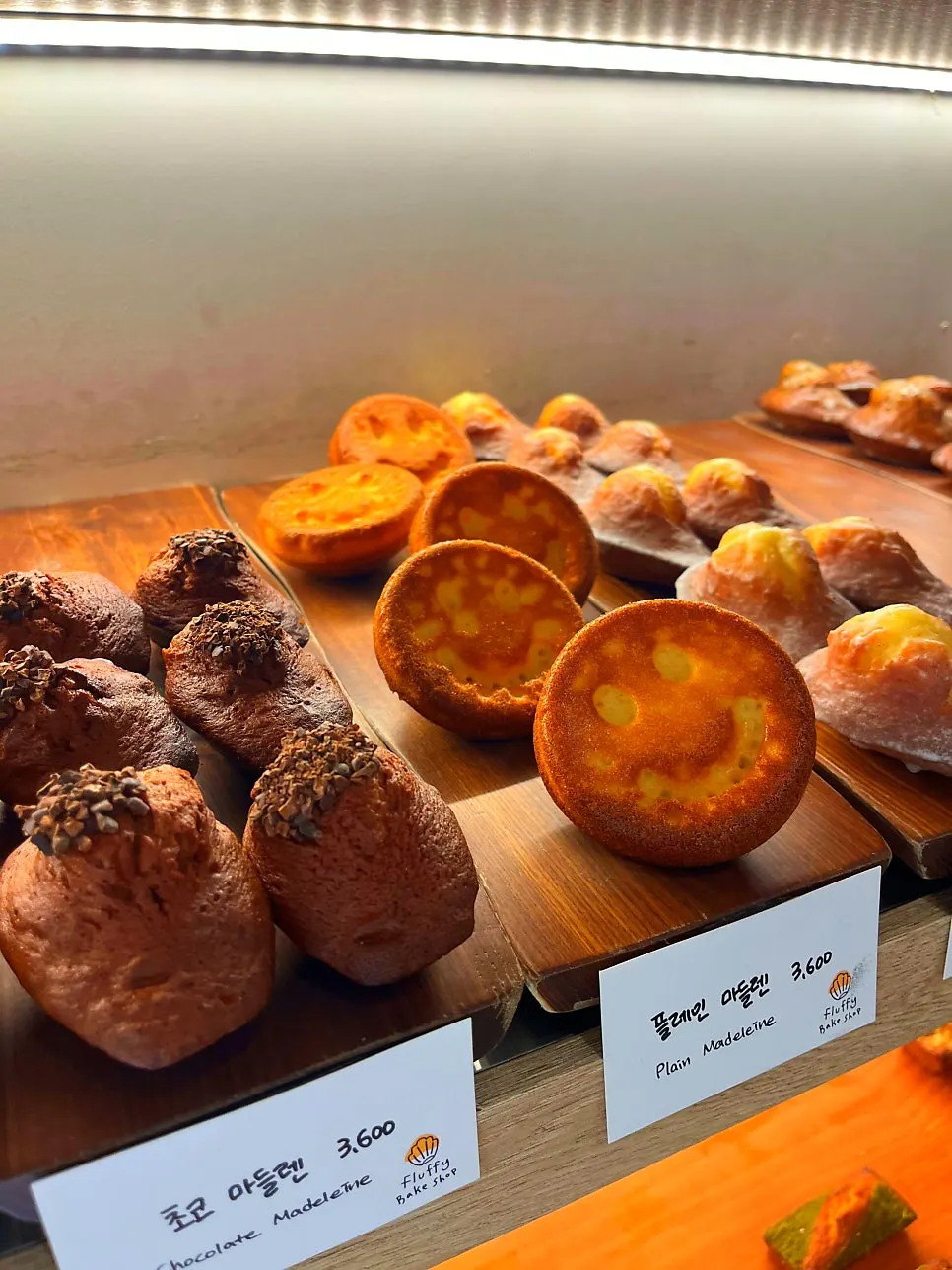 Showcase with gamtae cheese and chestnut madeleines