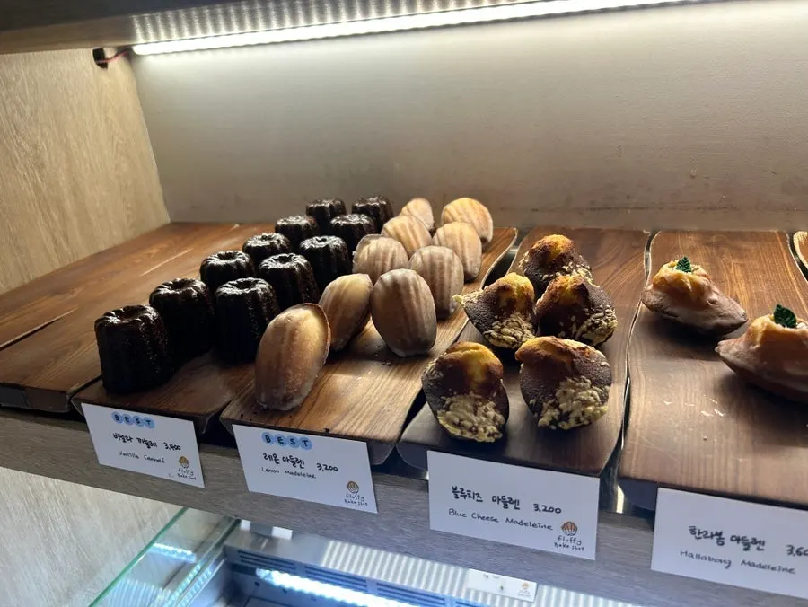 Plain and chocolate financiers lined up in the case