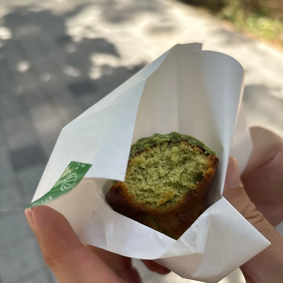 Cross-section of the matcha-coated madeleine