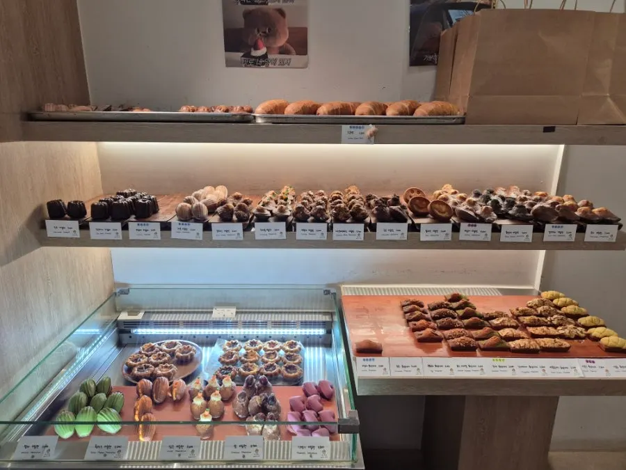Madeleines and financiers displayed in the showcase