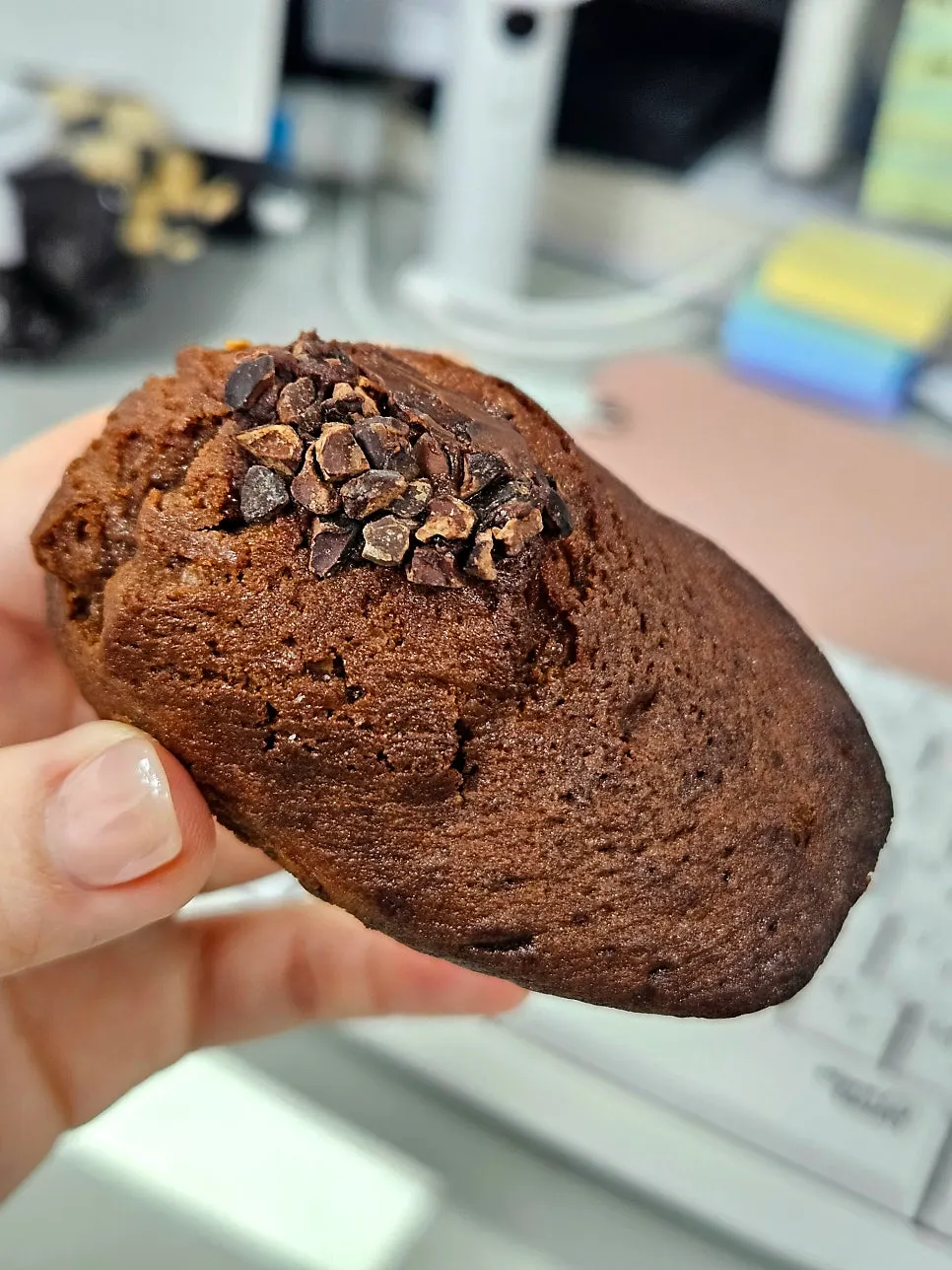 초코 토핑이 올라간 초코 마들렌