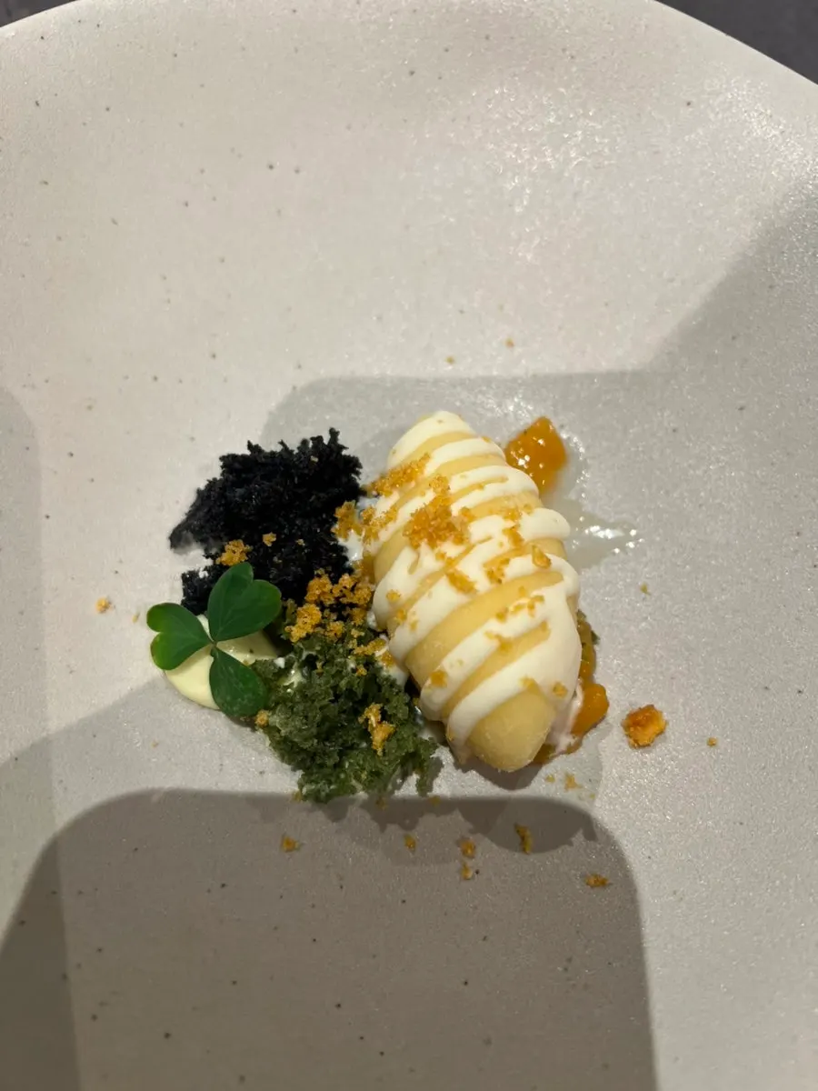 Golden eye snapper pot rice paired with Hanwoo
