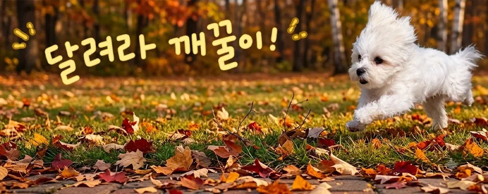 와이스타브 다이어트 식단 마무리