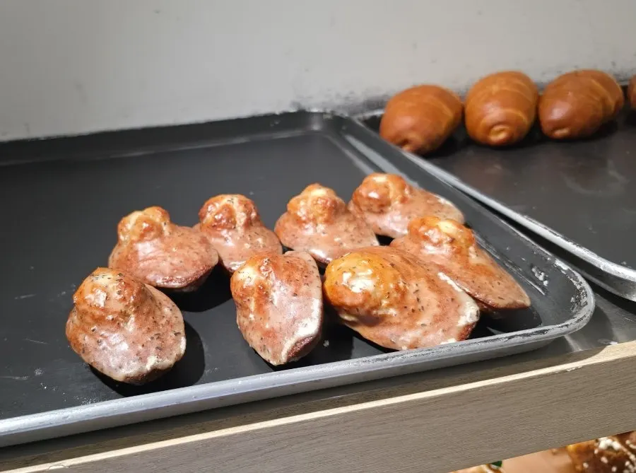 Madeleines with plump bellies on display