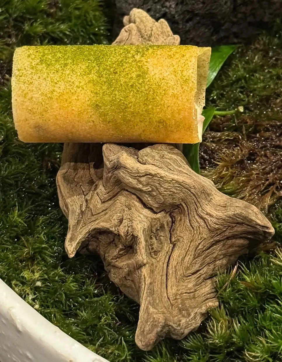 Crispy brick pastry with scallop and clam set on a twig