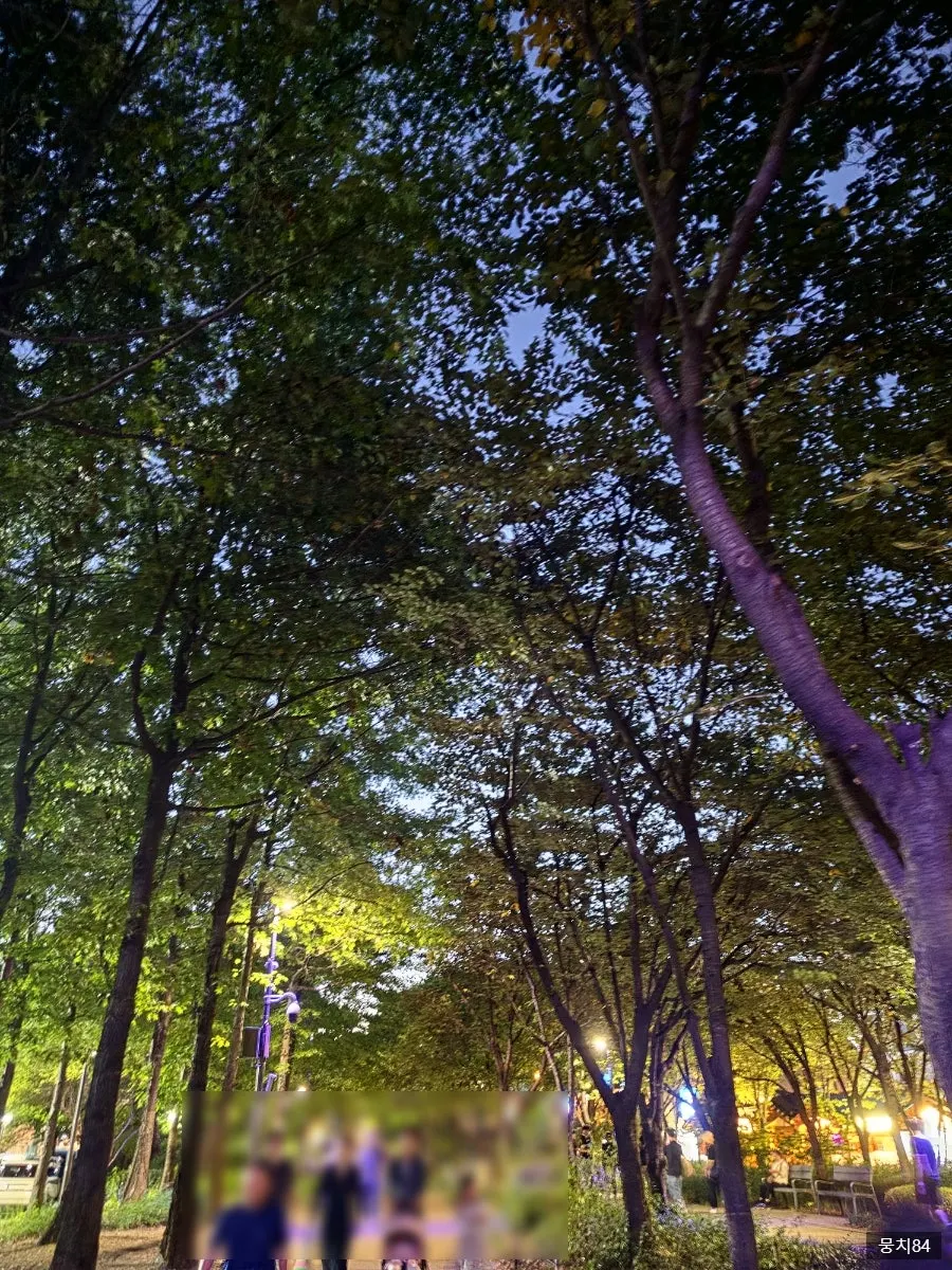 The Gongdeok Gyeongui Line Forest Trail right outside Yakitori Shomong