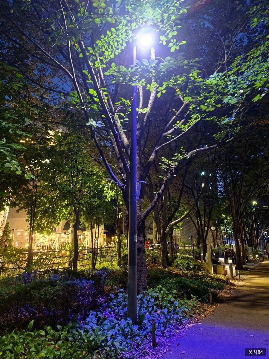 Night view of the Gyeongui Line Forest Trail leading to Sogang University Station