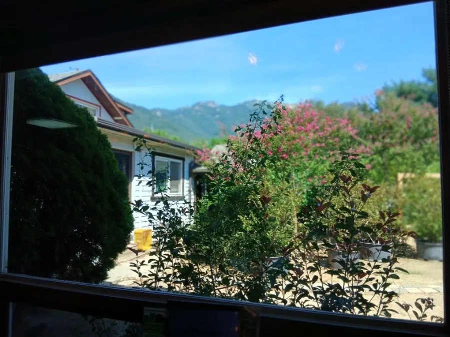 제철 나물 반찬 구성