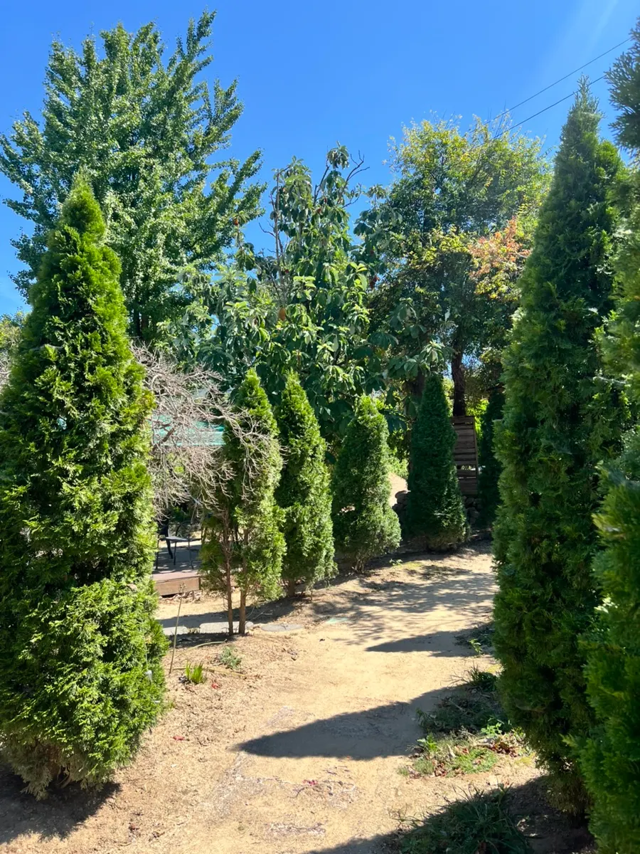 Exterior of Bapkkot Hana Pieotne surrounded by greenery