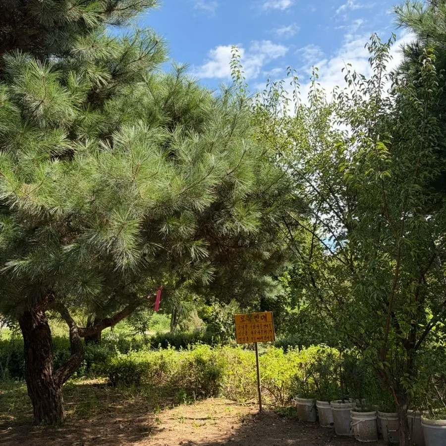 자연 풍경 속 매장으로 향하는 길