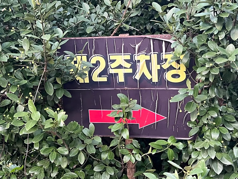 Outdoor seating area with a view of Gyeryongsan Mountain