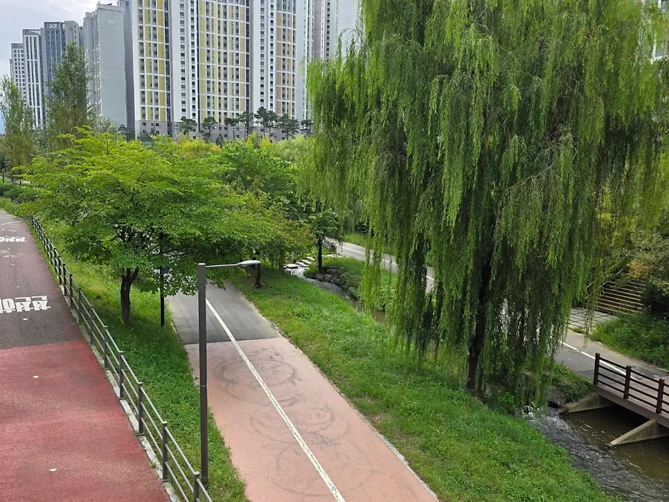 창밖으로 보이는 고덕천 산책로와 나무