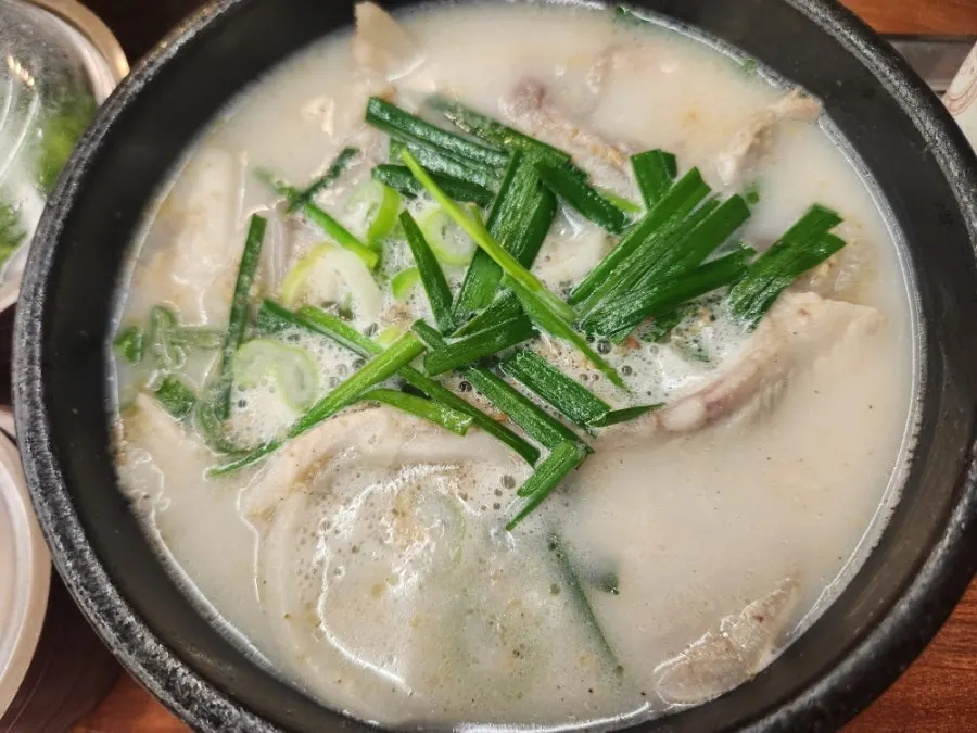 사골육수로 뽀얀 돼지국밥 한 뚝배기