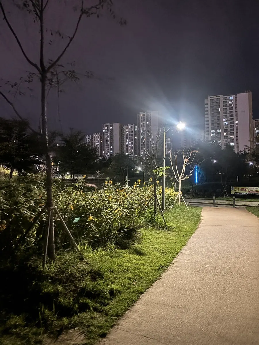 Street near Misa Station