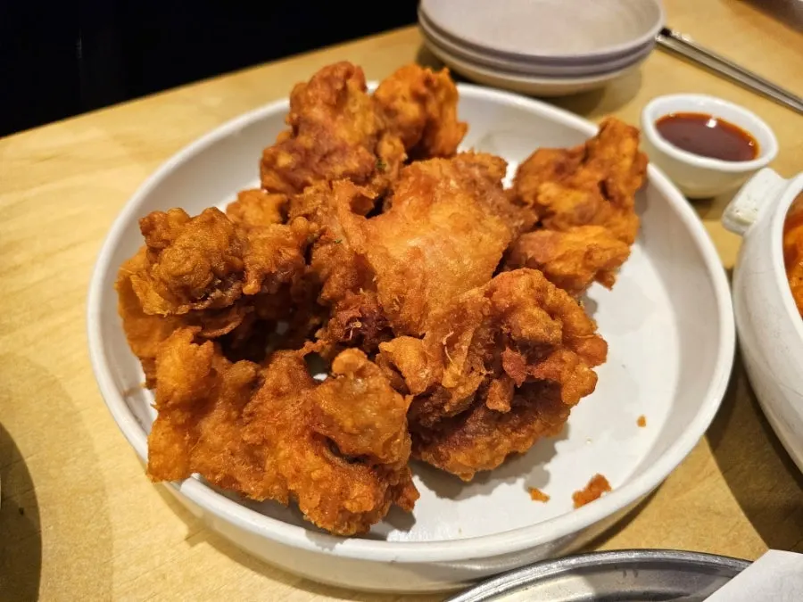 Close-up of a juicy piece of fried chicken