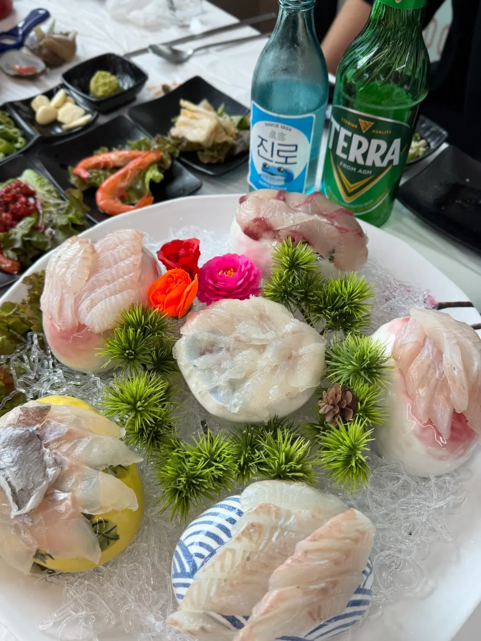 Assorted sashimi of pufferfish, mareumi, flounder, and rockfish